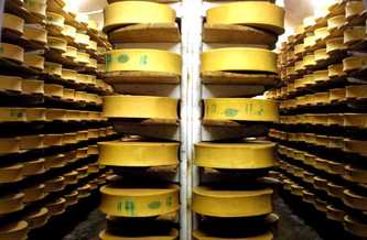 An unusual cheese cellar
